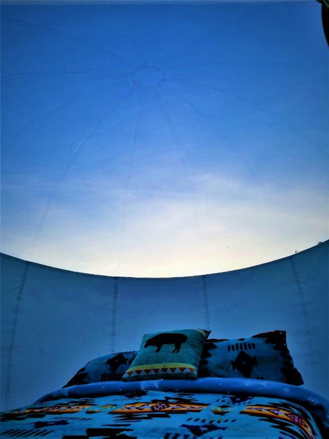 Cave, Yurt, Bubble And Other Glamping Adventures Hotel Sedona Eksteriør billede