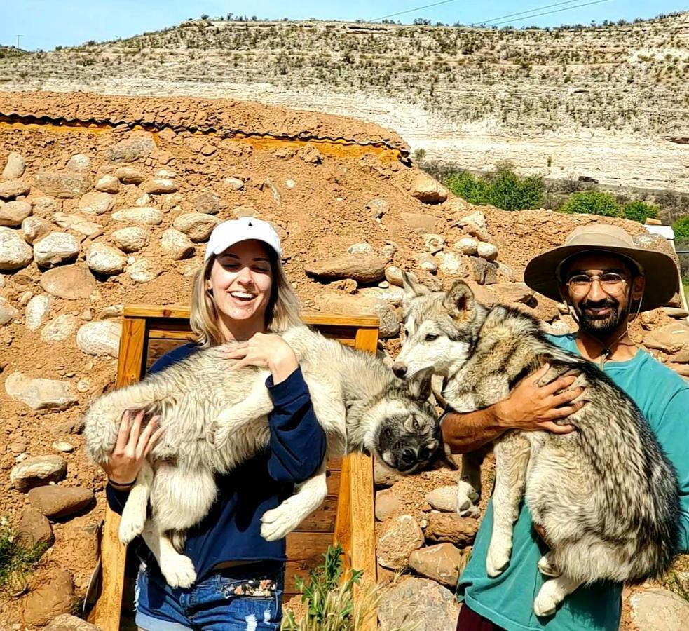 Cave, Yurt, Bubble And Other Glamping Adventures Hotel Sedona Eksteriør billede