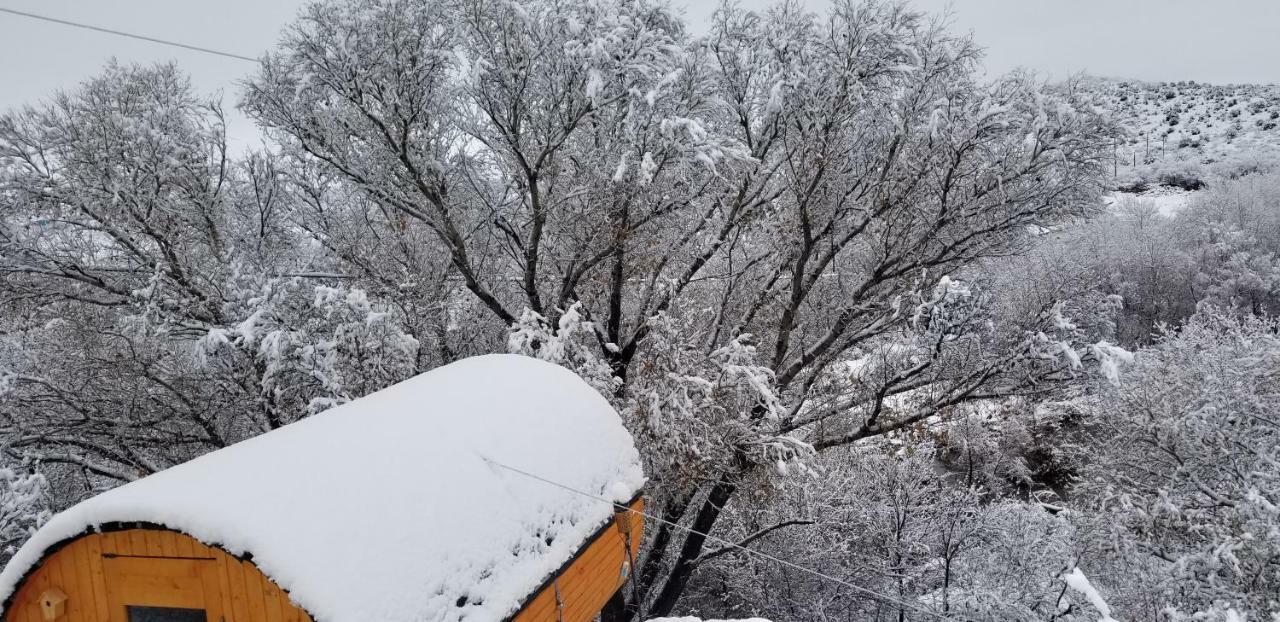 Cave, Yurt, Bubble And Other Glamping Adventures Hotel Sedona Eksteriør billede
