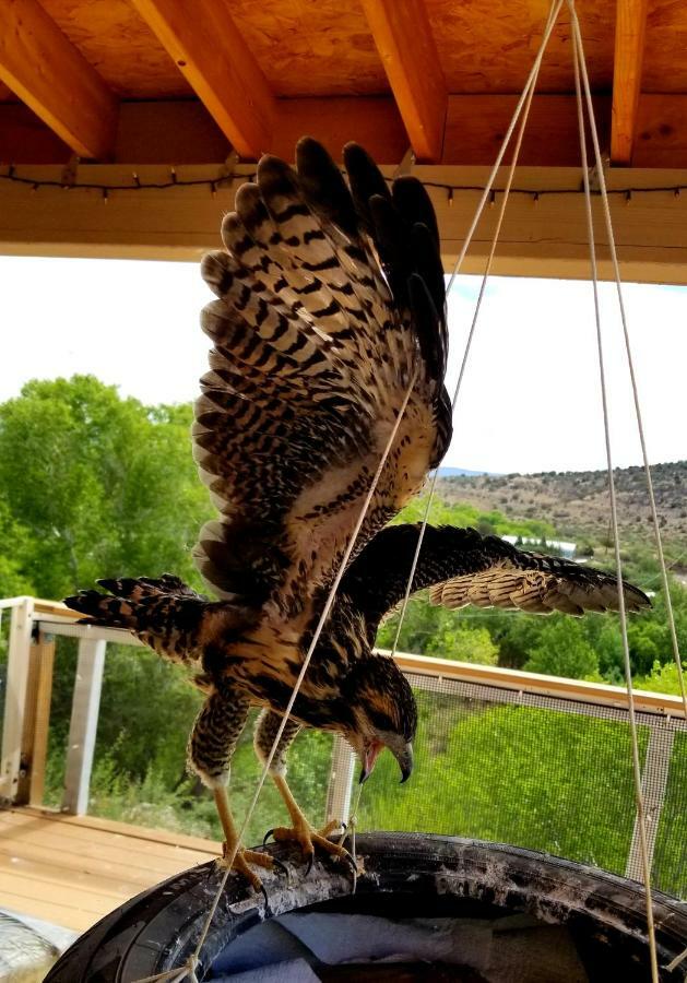 Cave, Yurt, Bubble And Other Glamping Adventures Hotel Sedona Eksteriør billede